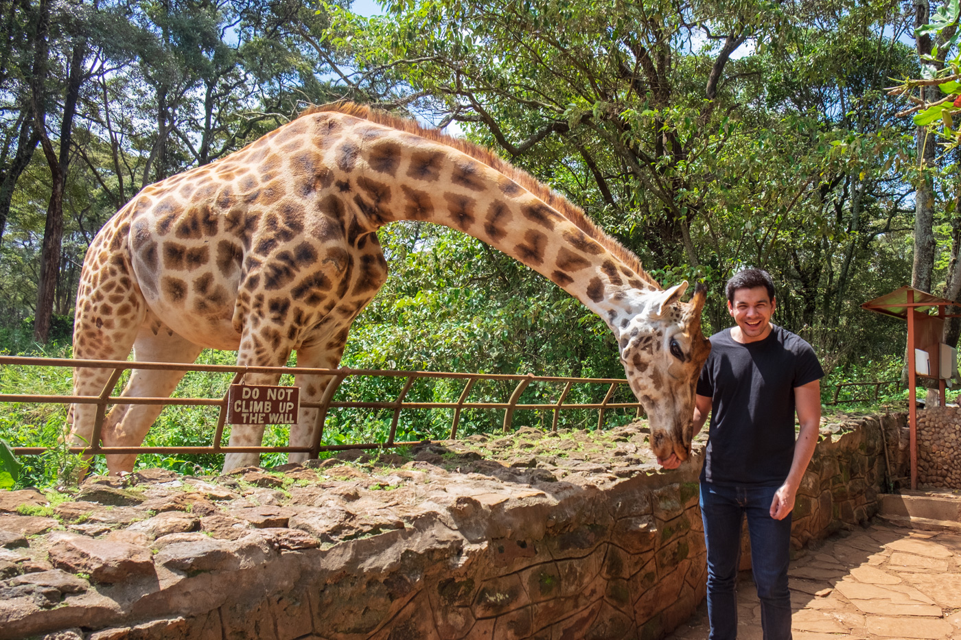 Feeding Giraffe